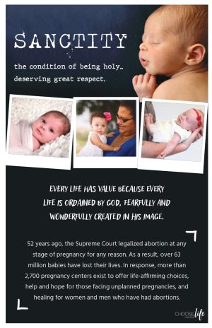 Bulletin Insert: Sanctity of Human Life (Donor)