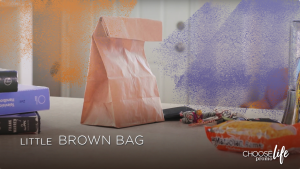 Little Brown Bag (Client) | 6243