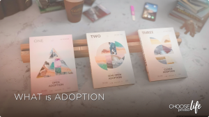 What is Adoption? (Client) | 6995