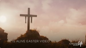 He is Alive (Donor) | 8002