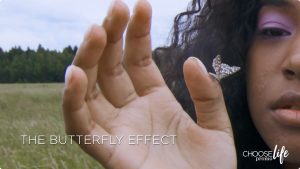Butterfly Effect (Client) | 8164