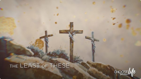 The Least of These