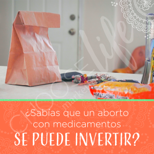 Little Brown Bag - Spanish (Client) | 17712